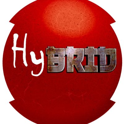 Petit logo Hybrid officiel